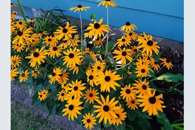 206 West Street, Walters, MN 56097 - Photo 38