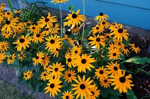 206 West St, Walters, MN 56097 - Photo 38