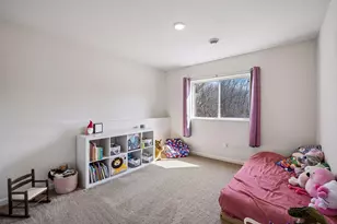 1020 White Tail Ln, Montrose, MN 55363 - Photo 26