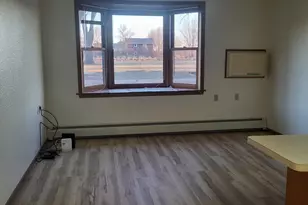 609 Main St S, Renville, MN 56284 - Photo 4