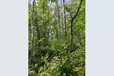 _ Birch Circle Drive NW, Baudette, MN 56623 - Photo 6