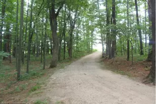 32339 County 21, Browerville, MN 56438 - Photo 14