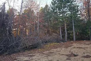 27532 Dahlia St NW, Isanti, MN 55040 - Photo 46