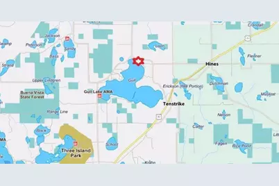 22173 Erdahl Court NE, Tenstrike, MN 56683 - Photo 70