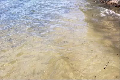 22173 Erdahl Court NE, Tenstrike, MN 56683 - Photo 8