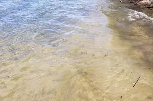 22173 Erdahl Ct NE, Tenstrike, MN 56683 - Photo 8