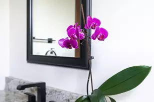 33361 Sandhill Cir, Albany, MN 56307 - Photo 42