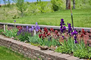 828 W Birch Ave, Fergus Falls, MN 56537 - Photo 64