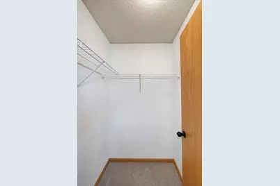 153 Pheasant Ridge Drive, Montrose, MN 55363 - Photo 28