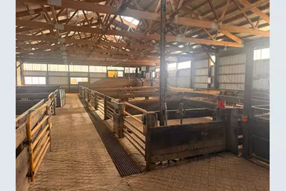 60395 US Highway 12, Litchfield, MN 55355 - Photo 2