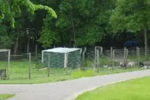 2945 County Road 4 SW, Cokato, MN 55321 - Photo 16