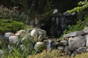 2945 County Road 4 SW, Cokato, MN 55321 - Photo 18