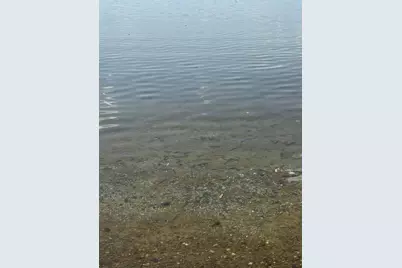 Tbd Lakeview Lane, Merrifield, MN 56465 - Photo 2