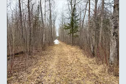28465 Highway 71 NE, Blackduck, MN 56630 - Photo 48