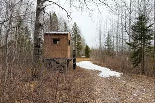 28465 Hwy 71 NE, Blackduck, MN 56630 - Photo 50