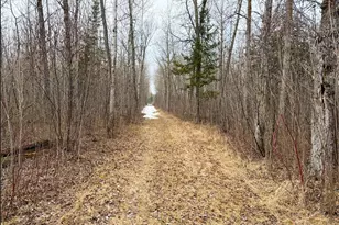 28465 Hwy 71 NE, Blackduck, MN 56630 - Photo 48