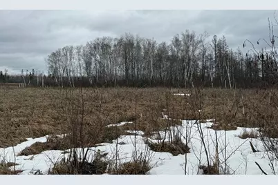 61613 Park Hills Road, Bruno, MN 55712 - Photo 38