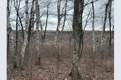 61613 Park Hills Road, Bruno, MN 55712 - Photo 34