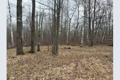 61613 Park Hills Road, Bruno, MN 55712 - Photo 10