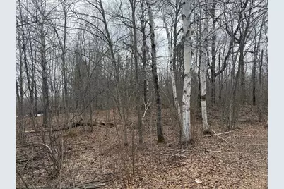 61613 Park Hills Road, Bruno, MN 55712 - Photo 16