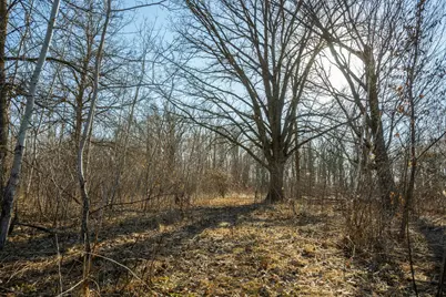 Tbd 73rd Street, Hillman, MN 56338 - Photo 40