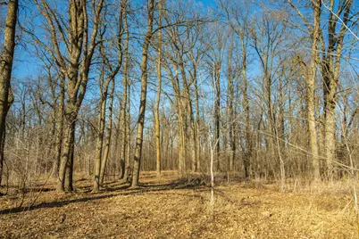 Tbd 73rd Street, Hillman, MN 56338 - Photo 46