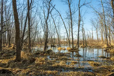 Tbd 73rd Street, Hillman, MN 56338 - Photo 48