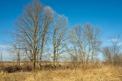 Tbd 73rd Street, Hillman, MN 56338 - Photo 36