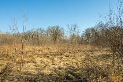 Tbd 73rd Street, Hillman, MN 56338 - Photo 38