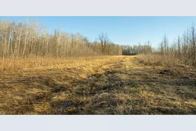 Tbd 73rd Street, Hillman, MN 56338 - Photo 54