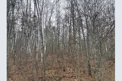 30Xxx Rainier Drive, Breezy Point, MN 56472 - Photo 6