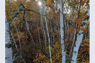 31538 County 23, Akeley, MN 56433 - Photo 40