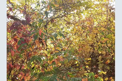 31538 County 23, Akeley, MN 56433 - Photo 70