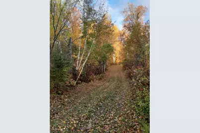 31538 County 23, Akeley, MN 56433 - Photo 38