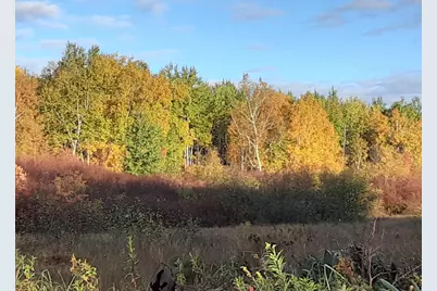 31538 County 23, Akeley, MN 56433 - Photo 42