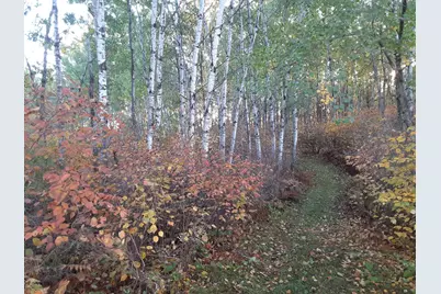 31538 County 23, Akeley, MN 56433 - Photo 68