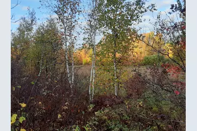 31538 County 23, Akeley, MN 56433 - Photo 64