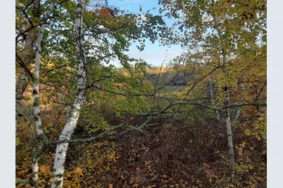 31538 County 23, Akeley, MN 56433 - Photo 24