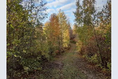 31538 County 23, Akeley, MN 56433 - Photo 52