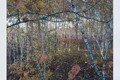 31538 County 23, Akeley, MN 56433 - Photo 36