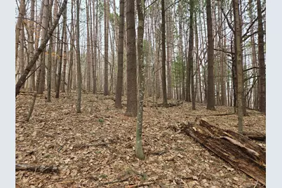 E5310 732nd Avenue, Menomonie, WI 54751 - Photo 6