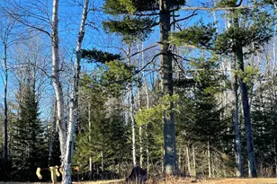 328 Ball Club Rd, Grand Marais, MN 55604 - Photo 24