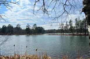 22175 Grand Pines Trail, Nevis, MN 56467 - Photo 2