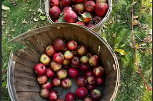 333 5th Ave NE, Chisholm, MN 55719 - Photo 30