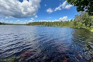 1804 N Bay Rd, Ely, MN 55731 - Photo 4