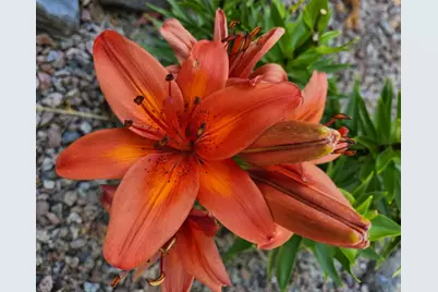 517 Springen Avenue, Fergus Falls, MN 56537 - Photo 58