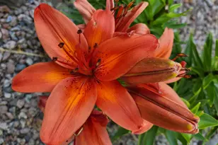 517 Springen Ave, Fergus Falls, MN 56537 - Photo 58