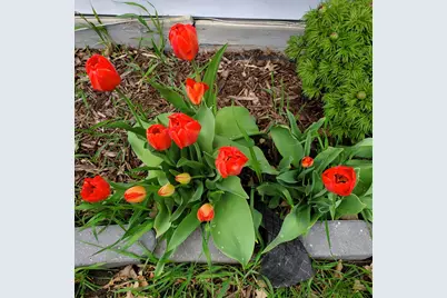 517 Springen Avenue, Fergus Falls, MN 56537 - Photo 56