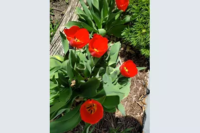 517 Springen Avenue, Fergus Falls, MN 56537 - Photo 52