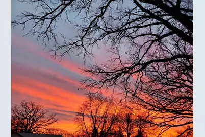 517 Springen Avenue, Fergus Falls, MN 56537 - Photo 54